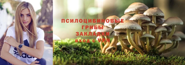 трава Бугульма