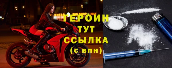 индика Богородск